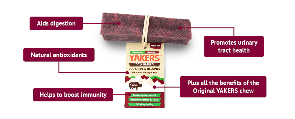 YAKERS Cranberry Dog Chew XLarge - Case of 10