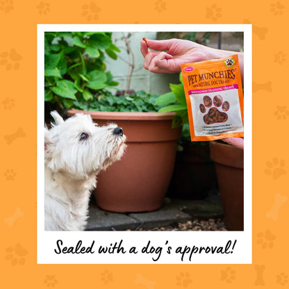 Pet Munchies Wild Salmon Training Dog Treats (8x50g)