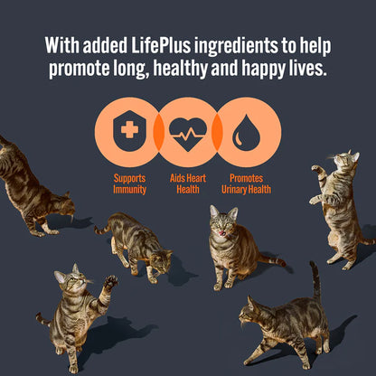 HiLife Adult Cat Tuna Flakes in Jelly (18x70g)