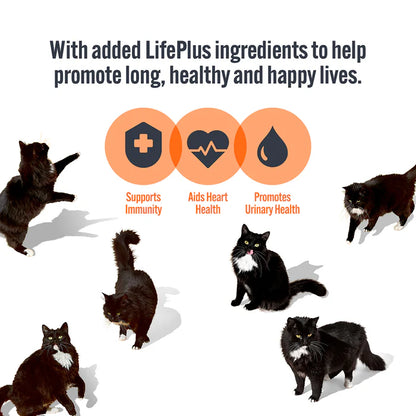 HiLife Adult Cat Chicken Pate in Jelly (8x70g) x 4 Bulk Box