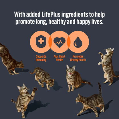 HiLife Adult Cat Tuna Recipes in Jelly (8x70g) x 4 Bulk Box