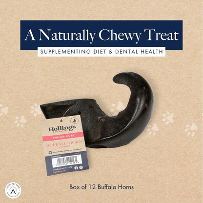 Hollings Standard Buffalo Horns (12pk)