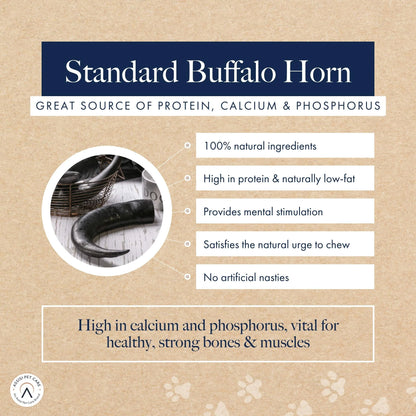 Hollings Standard Buffalo Horns (12pk)