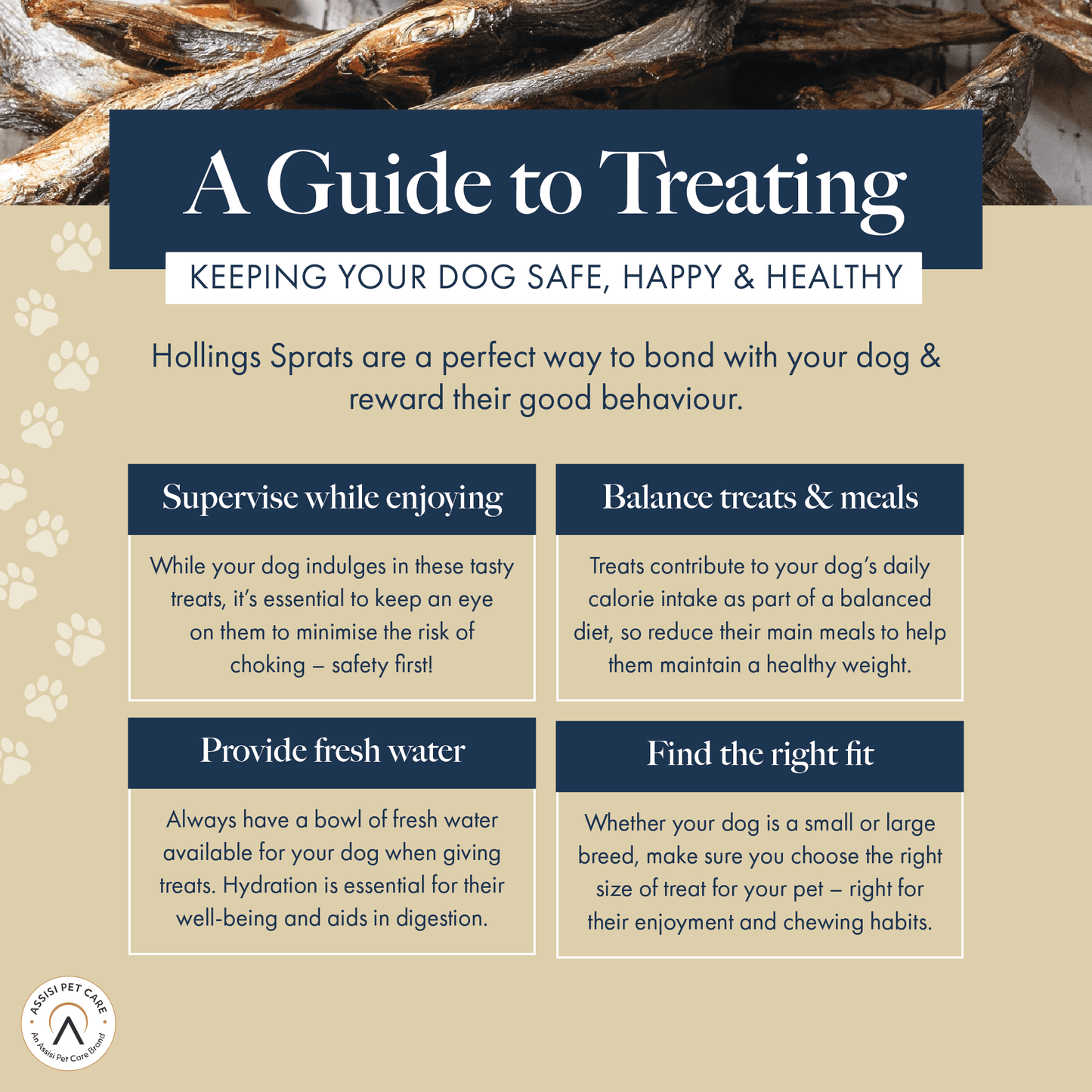 Hollings Sprats (6x100g)