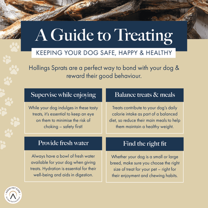 Hollings Sprats (6x100g)