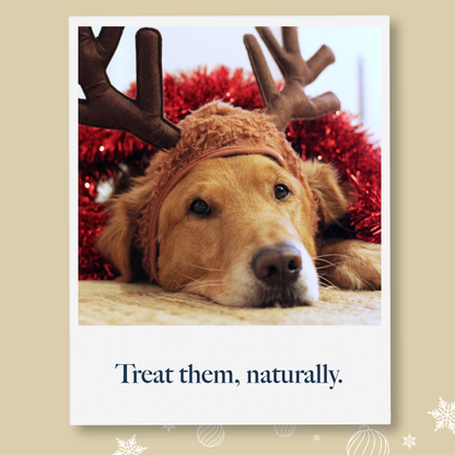 Hollings Christmas Cracker Bangers Turkey & Salmon Sausages (8x70g) - COMING SOON!