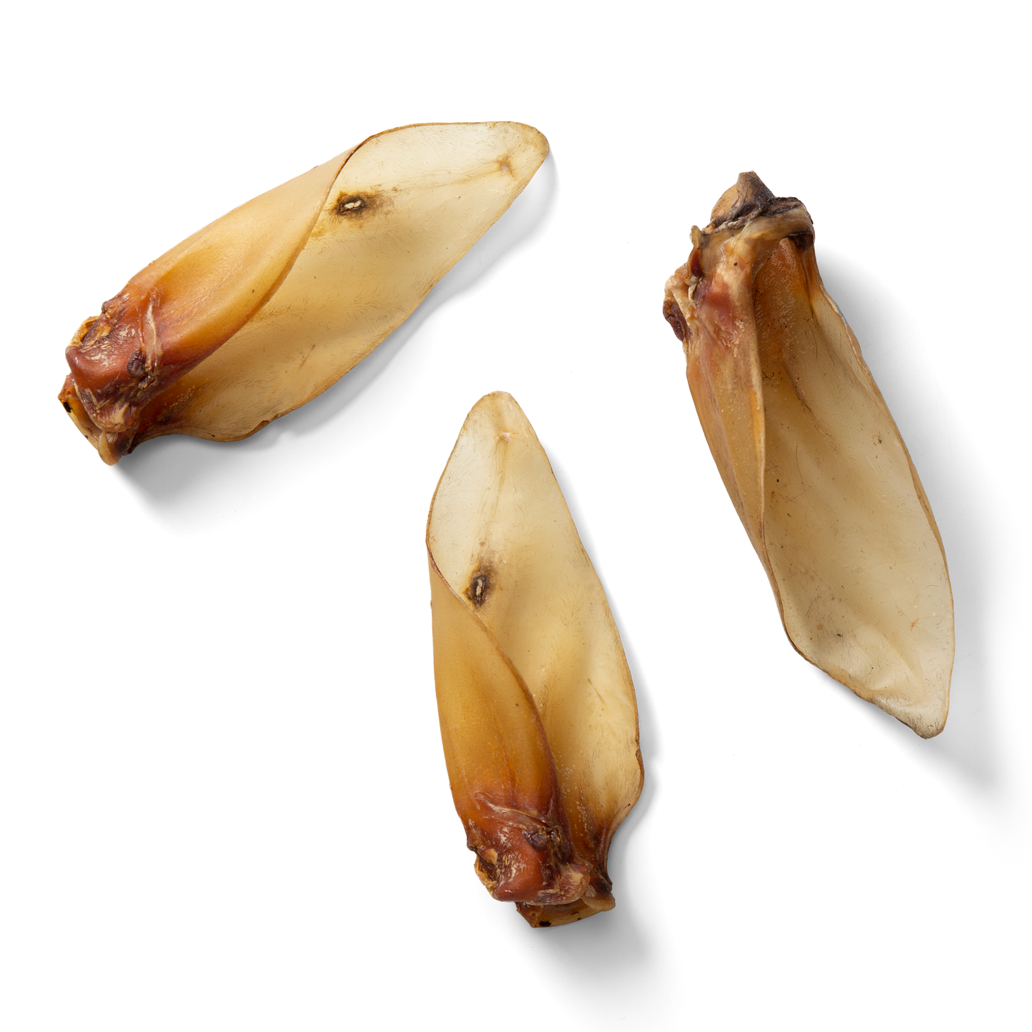 NAW Buffalo Ears (4PK)