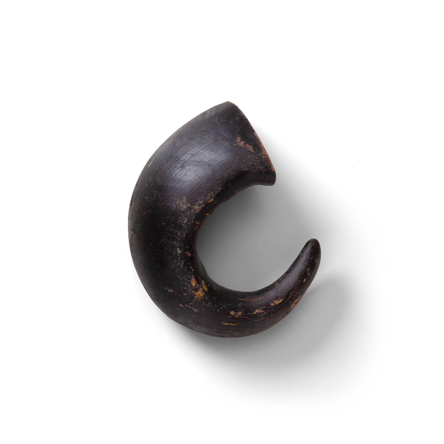 NAW Buffalo Horn Mini (1)