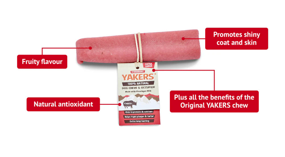 YAKERS Strawberry Dog Chew Medium - Case of 20