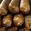 Bow Wow Pudding Sticks - Insect & Collagen Bacon Flavour (Brown)